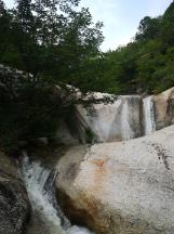 张雨绮兔女郎登场!性感与纯真的完美结合